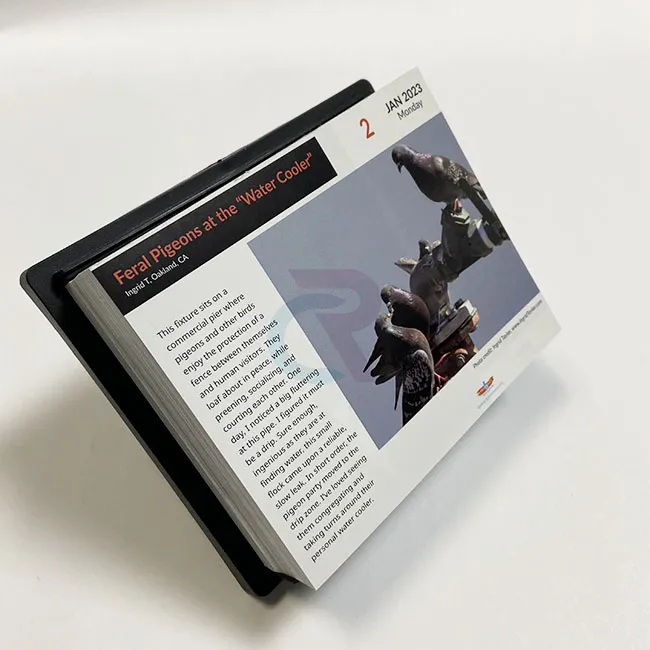 Kuidas saab kohandatud kujundusi lisada päevaste päevakalendrite hulka?